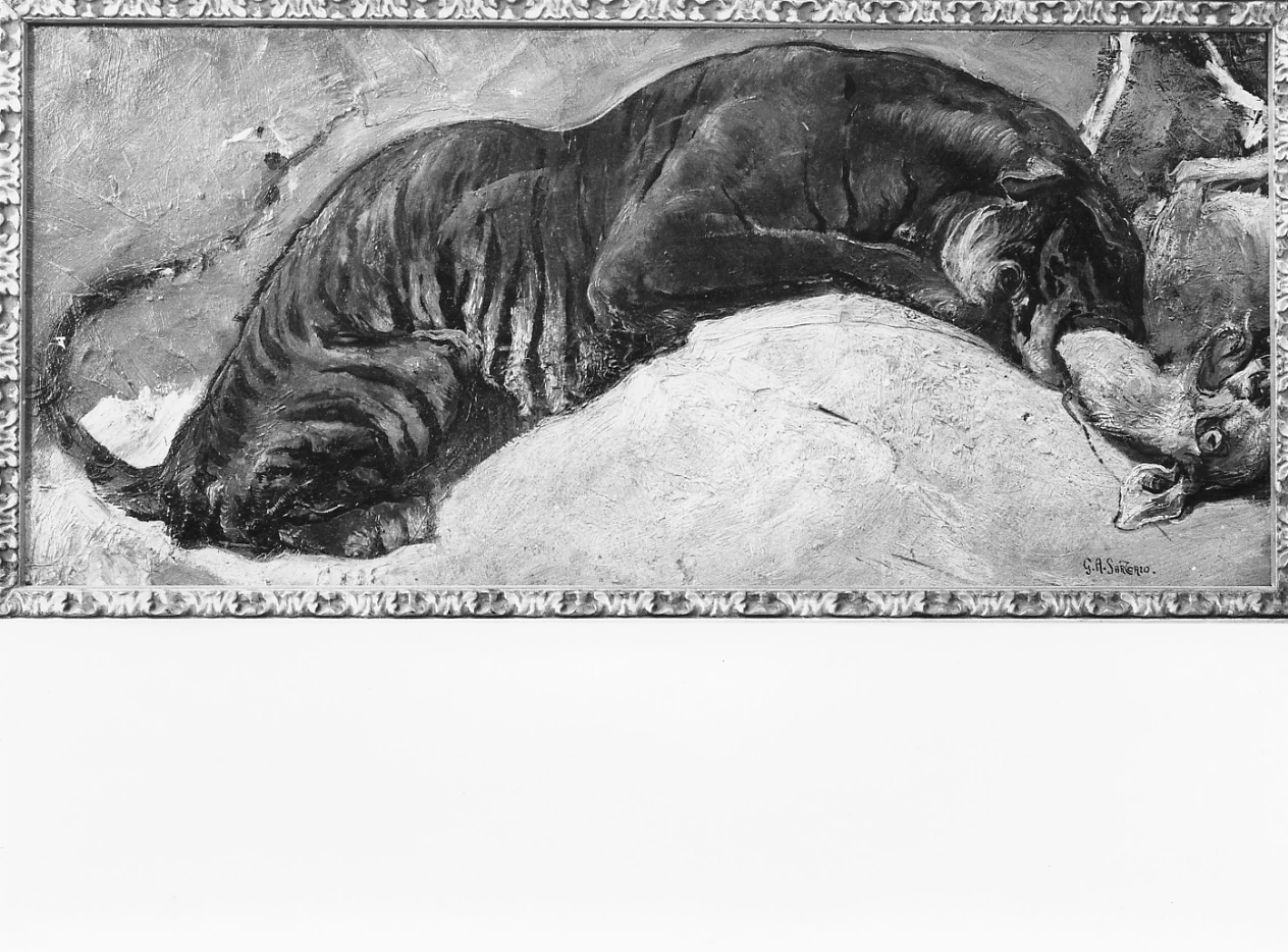 Tigre che sbrana la preda - Museo Civico, Vasto, Chieti